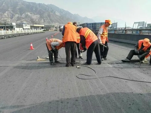 南溪道路桥梁病害治理